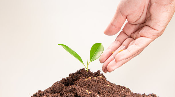 一堆硬币，上面有植物，代表商业、储蓄、增长、经济概念图片下载