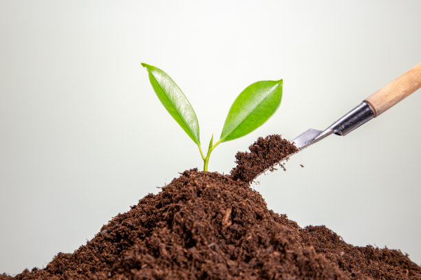 一堆硬币，上面有植物，代表商业、储蓄、增长、经济概念图片下载