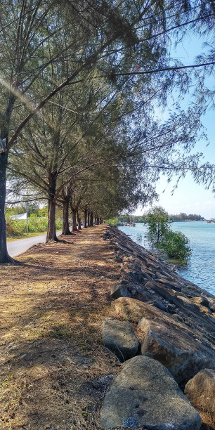 行人的泥土和石头路径图片下载