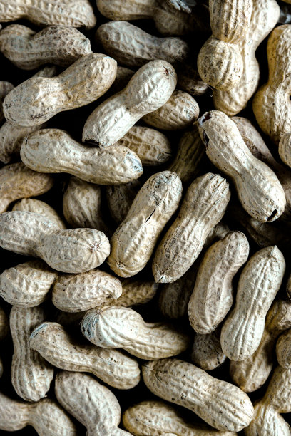 成员国图片下载