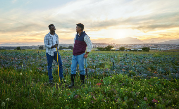 夕阳下，两个农民站在农场上图片下载