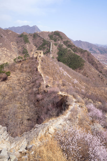 长城在Srping与桃花图片下载