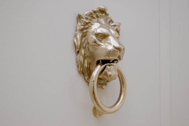 门上铜环把手，狮子头造型。才华横溢的金属处理。图片下载