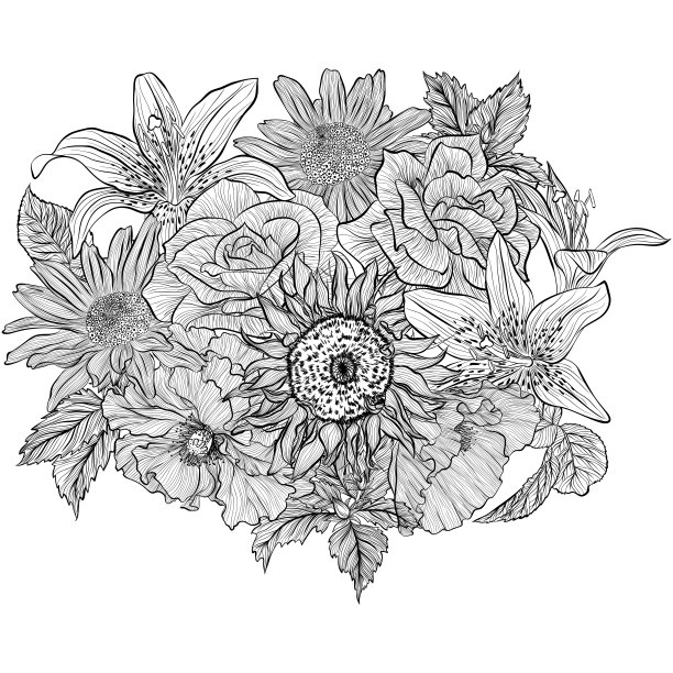 花束与各种花卉线条艺术图片下载