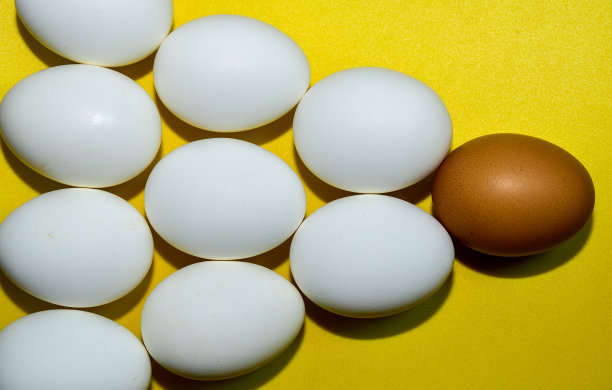 鸡蛋在黄色背景上的图案。白人中有一个是棕色的。前视图。特写镜头图片下载