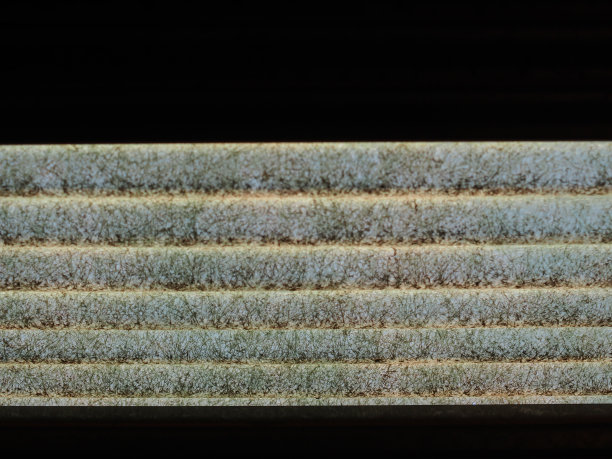 透明的波纹铁板与木梁结构屋顶下的自然光。“泰国传统住宅室内设计的好例子图片下载