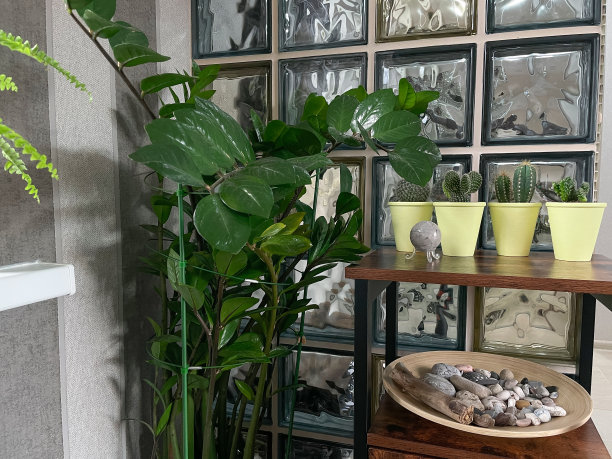 美丽的内部与绿色的叶子，仙人掌在陶瓷花盆-蓝色和粉红色。木制板。玻璃块墙作为背景图片下载