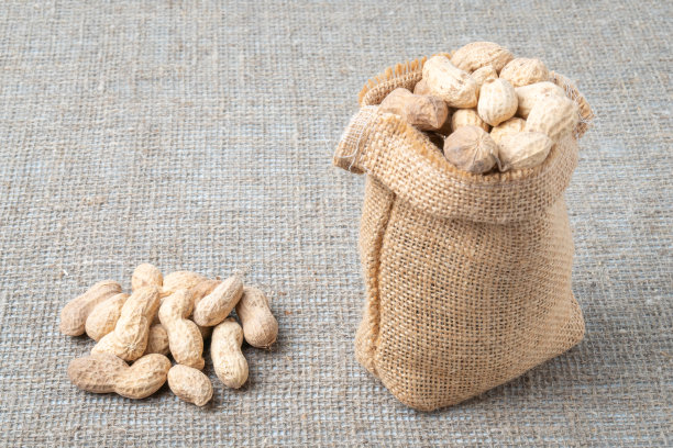 花生在粗麻袋的背景上图片下载