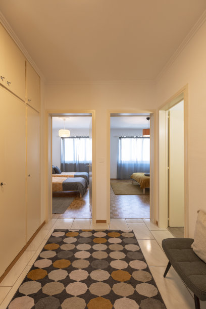 走廊正面视野，门通往卧室。左边是衣柜图片下载