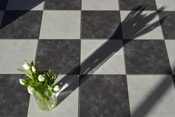 郁金香的花束图片下载