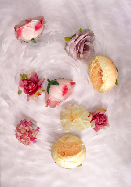 粉红色的玫瑰在水中绽放的夏日景象。阳光和阴影。最小的自然背景。平铺创意理念。图片下载