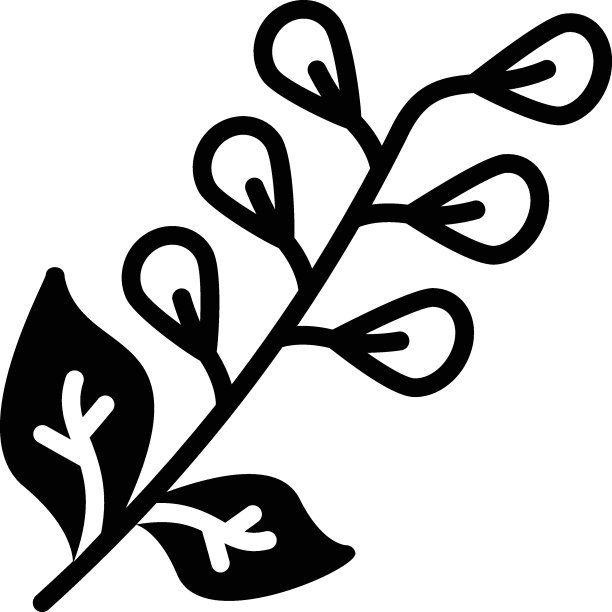 常青亚灌木矢量图标设计，调味品和香料符号，食物烹饪配料标志，香草和餐桌酱料插图，新鲜鼠尾草叶概念，图片下载