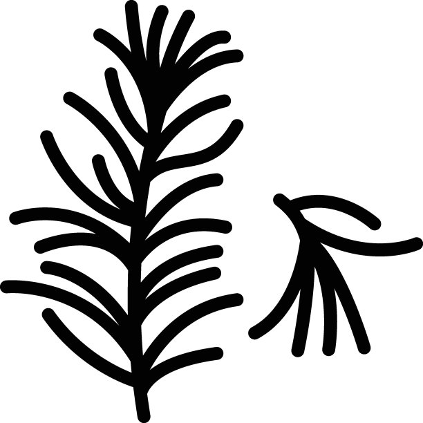 灌木芳香矢量图标设计，调味品和香料符号，食物烹饪配料标志，香草和餐桌酱料插图，干迷迭香叶概念，图片下载