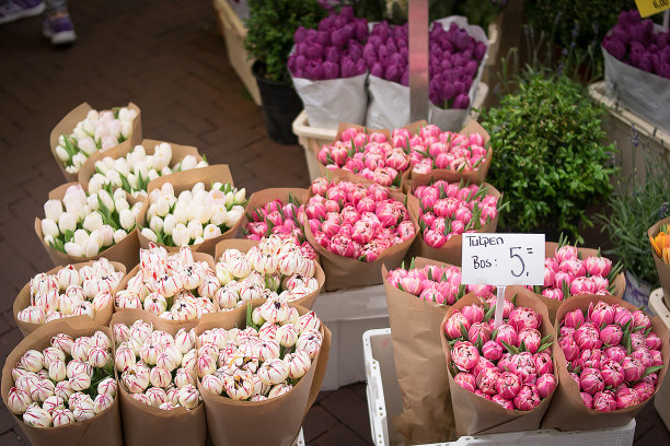 一些城市街道的照片，花卉市场，运河的阿姆斯特丹，荷兰。在照片中，你可以看到街道、人行道、老住宅区、砖块、天空、窗户、运河、桥梁、河流、自行车、中世纪、花卉、现代建筑图片下载