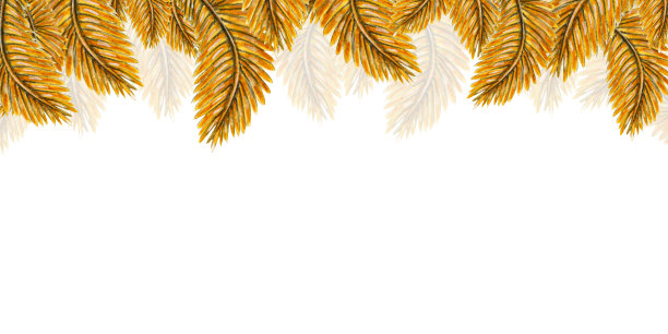 水彩模板与金色羽毛在白色背景为您的夏季设计和邀请图片下载