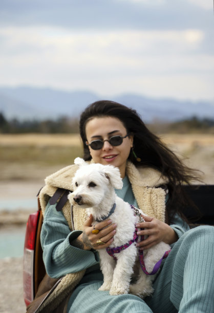 年轻漂亮的女人和她的小狗小狗坐在一辆皮卡的后座上享受着一辆汽车图片下载