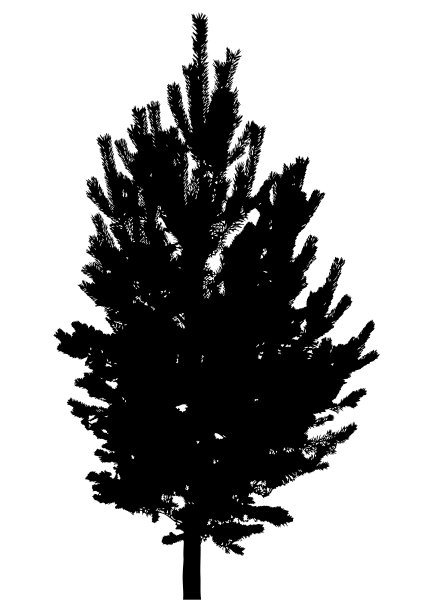 树的轮廓图片下载
