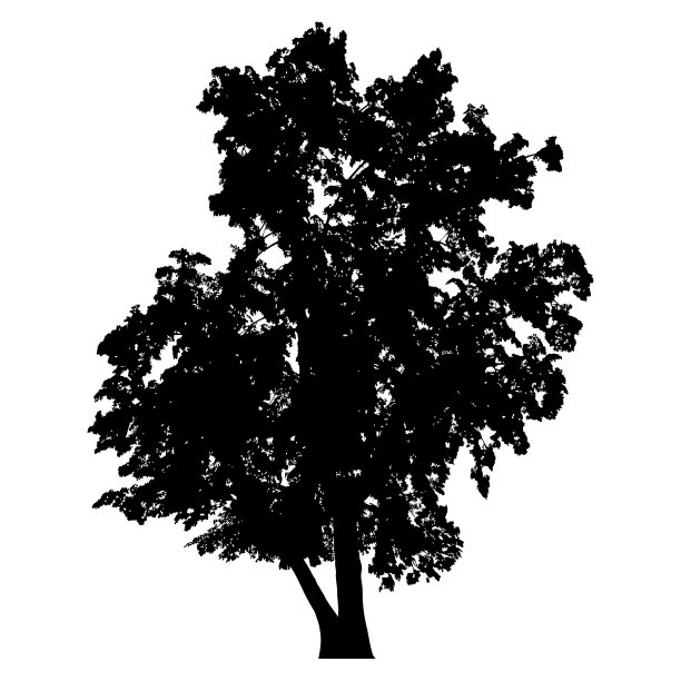 树的轮廓图片下载