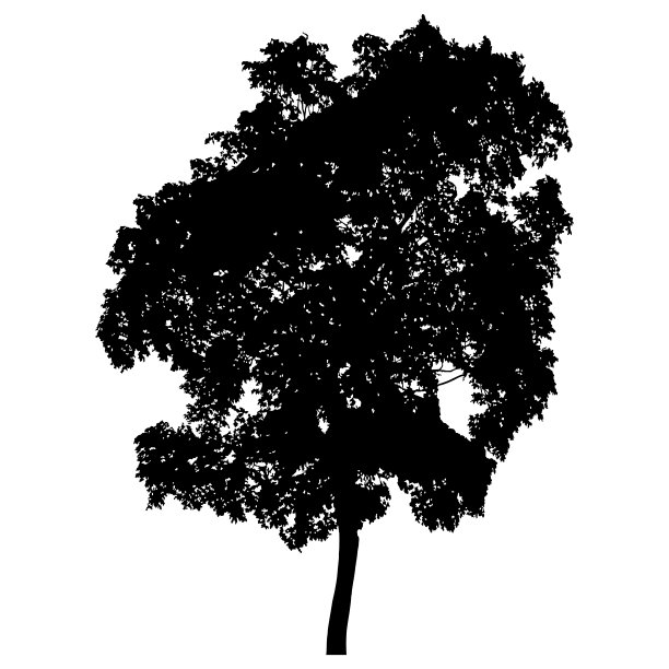 树的轮廓图片下载