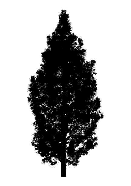树的轮廓图片下载