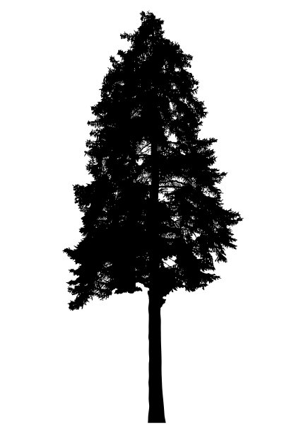 树的轮廓图片下载
