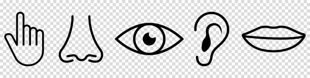 五种人类感官图标设置图片下载