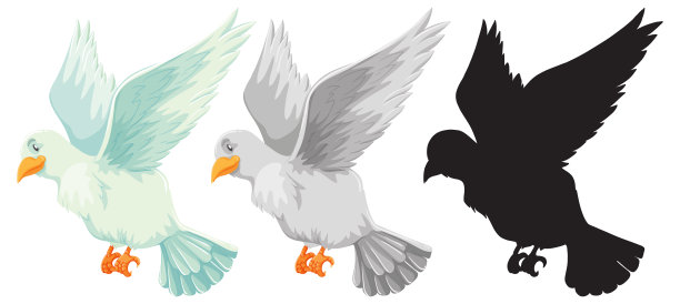 卡通鸽子和它的剪影图片下载