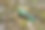 森林中使用的一次性绿色塑料瓶。污染环境。自然界中长期腐烂的废物图片下载