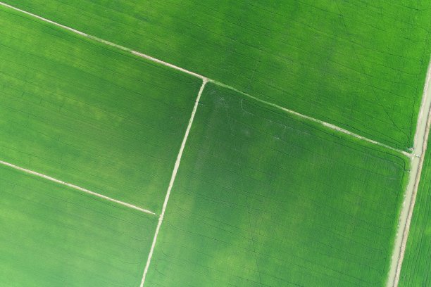 绿色稻田鸟瞰图泰国农村图片下载