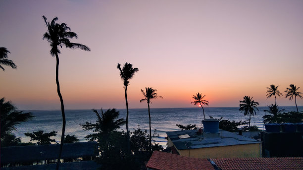 杰里科科拉村。图片下载