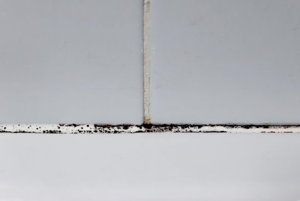 浴室发霉图片下载