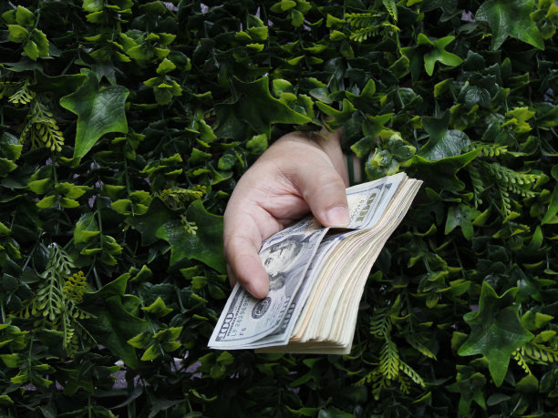 经济和金融用美元货币图片下载