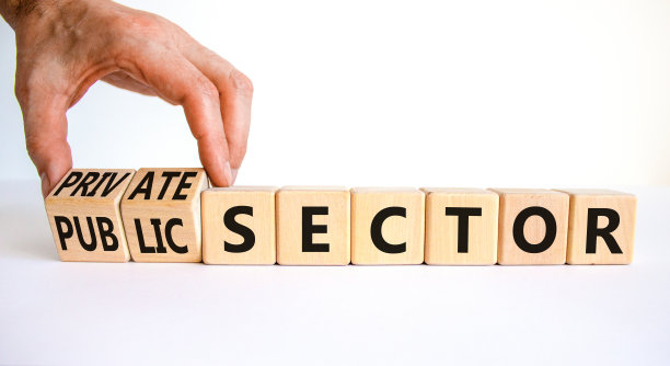 私人或公共部门的象征。商人翻着立方体，把“公共部门”改成了“私营部门”。美丽的白色背景，复制空间。商业、私人或公共部门的概念。图片下载