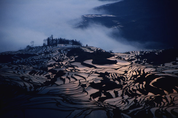 日出时的梯田图片下载