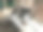 美丽的白色和黑色可爱的猫选择性焦点为传单，海报，广告等图片下载