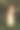 母亲和小女儿在一棵盛开的苹果树旁。图片下载