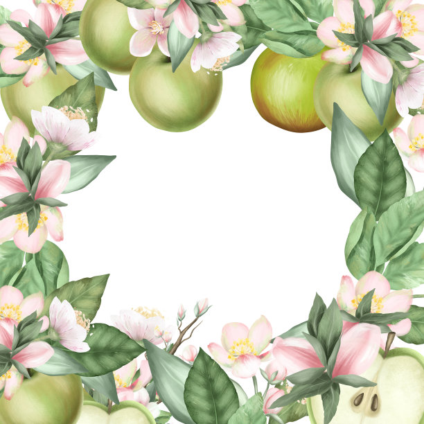 卡片模板，开花的苹果树的树枝，花和绿色的苹果在白色背景的框架图片下载