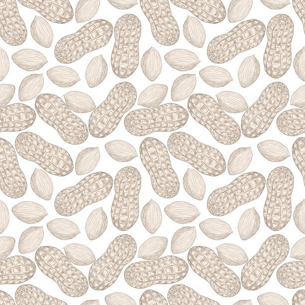 装饰图案，健康食品，简单的花生坚果插图。图片下载