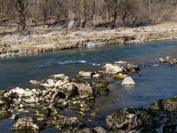 瑞士干涸的河流景观/全球变暖的概念图片下载