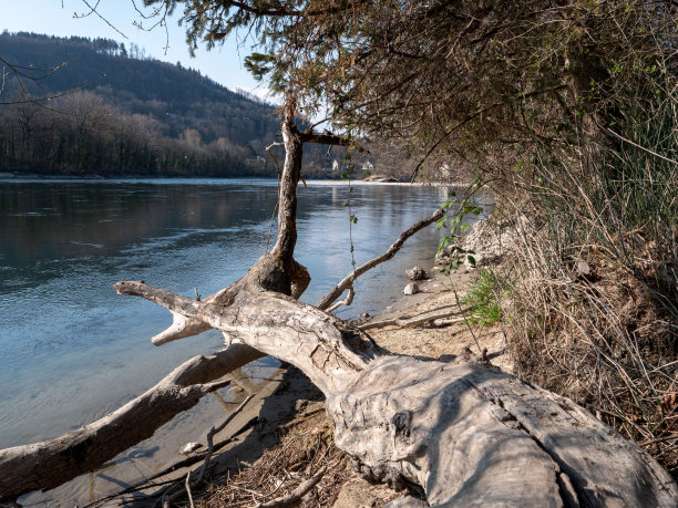 瑞士干涸的河流景观/全球变暖的概念图片下载