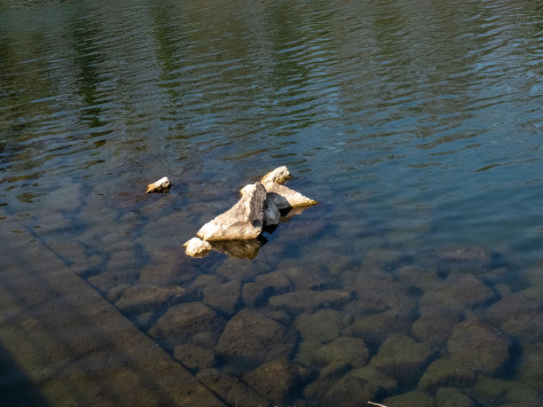 瑞士干涸的河流景观/全球变暖的概念图片下载