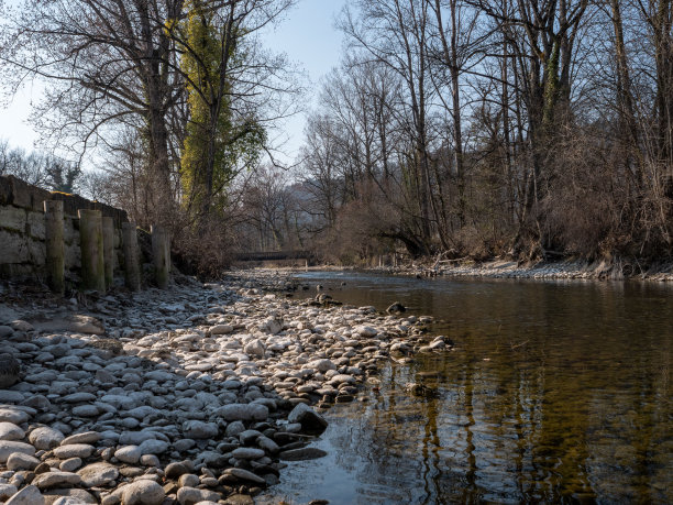 瑞士干涸的河流景观/全球变暖的概念图片下载
