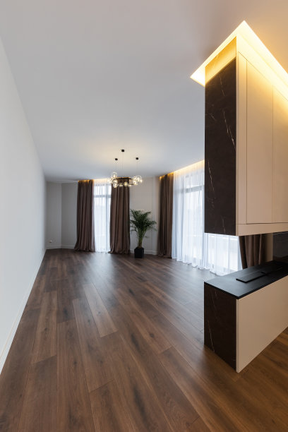 垂直照片的室内设计宽敞明亮的工作室公寓在斯堪的纳维亚风格和温暖的柔和的白色和米色。时尚的家具在起居区和现代的细节在厨房区。图片下载