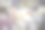 2022年3月，樱花盛开图片下载