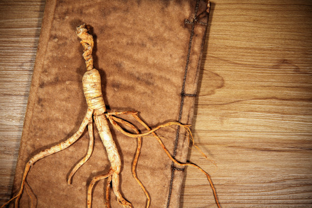 干人参根和古籍木材背景图片下载