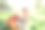 宝宝的篮子里装满了五颜六色的鸡蛋。寻找复活节彩蛋。图片下载