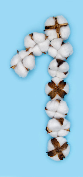 1号一个图片下载