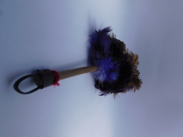 羽毛掸子，紫色和棕色。用于清洁灰尘。图片下载