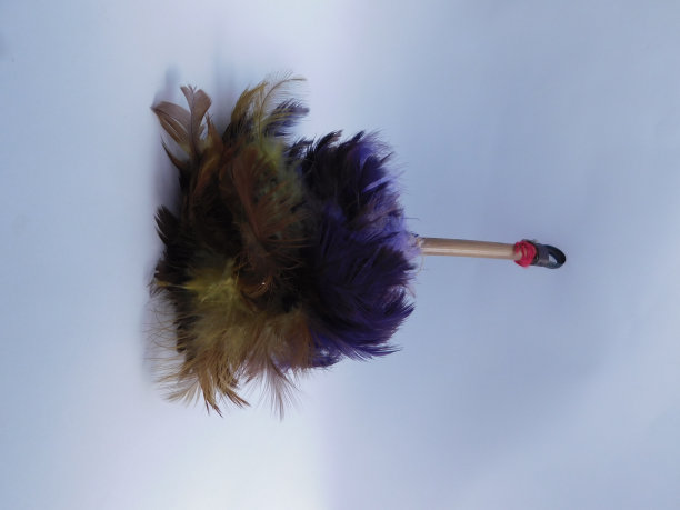 羽毛掸子，紫色和棕色。用于清洁灰尘。图片下载