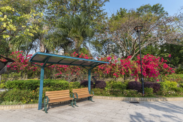 公园里的空座位，背景是五彩缤纷的花朵图片下载